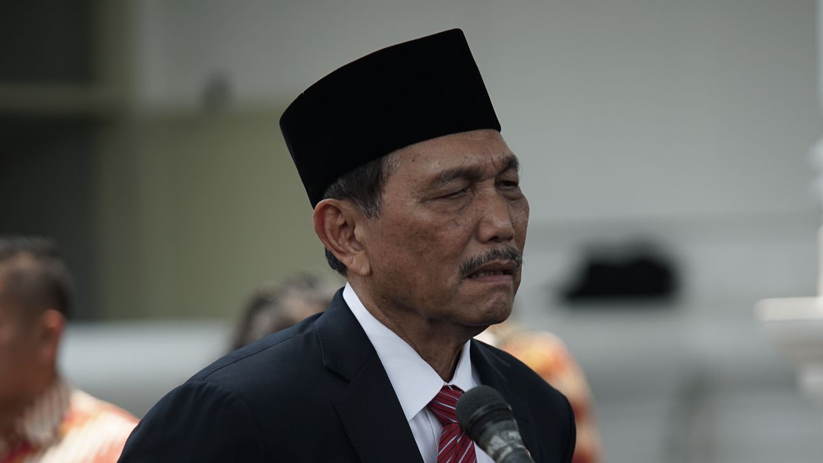 Luhut Asks The Governor Of North Sumatra To Support Digital Literacy MSMEs