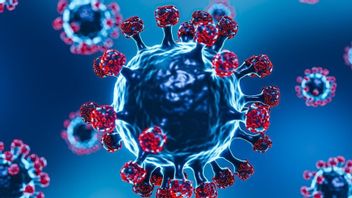 Five Children In Riau Died Of Babi Flu, These Are Symptoms To Watch Out For