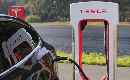 Tesla Pilih India Dibanding Indonesia, BKPM: Jangan Pesimis, Barang Ini Jalan Terus