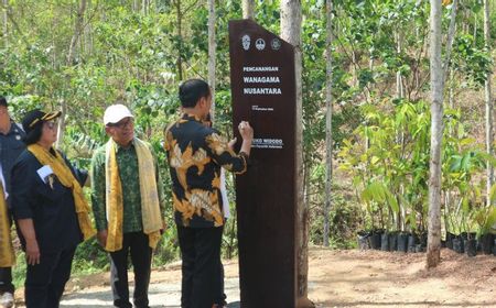 Presiden Jokowi Canangkan Hutan Pendidikan Wanagama Nusantara di IKN