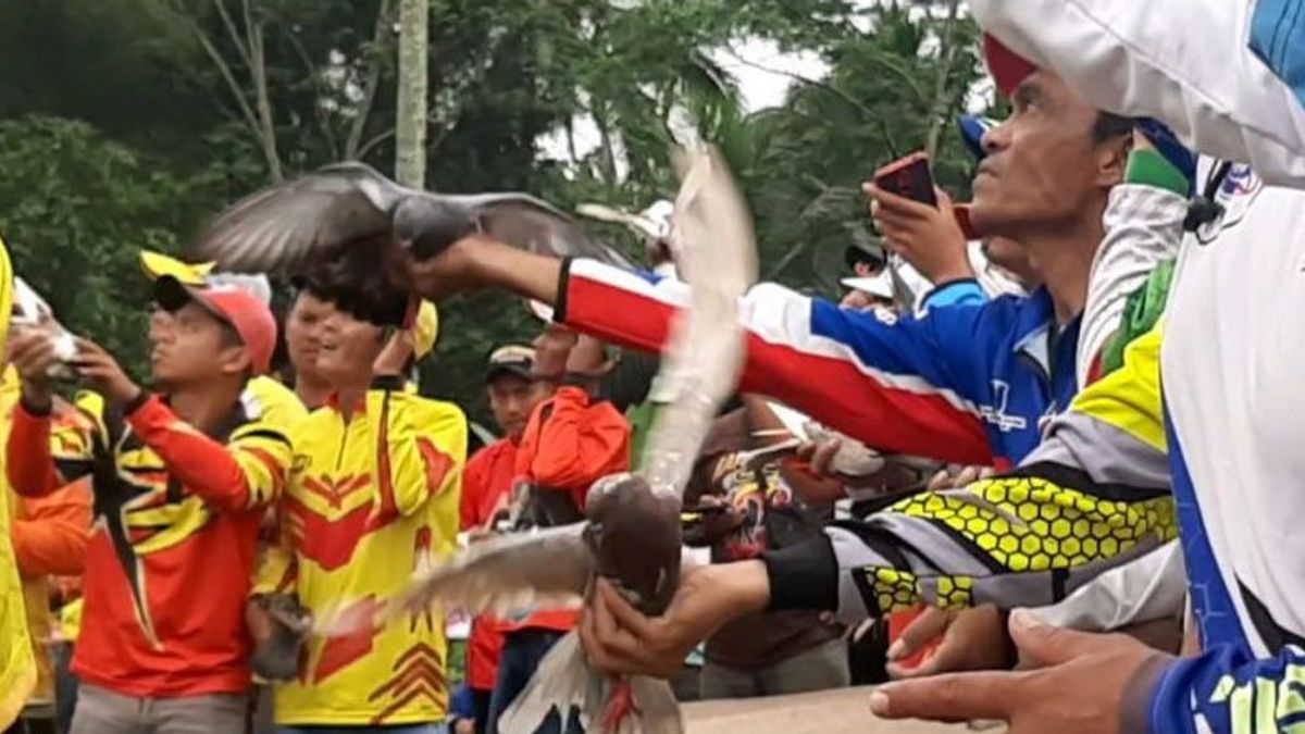 Thousands Of Participants Attend The Merpati Bird Overcrowding Competition Of The West Java Police Chief Cup In Tasikmalaya