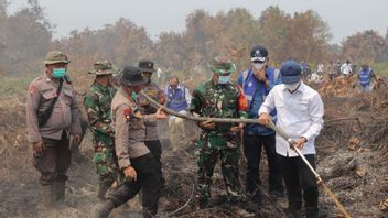 Menteri LH Klaim Penanganan Karhutla di Riau Cepat
