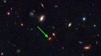 巨大銀河ZF-UDS-7329の発見は天文学者ケポを作ります