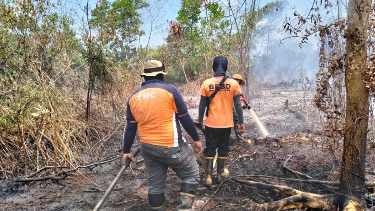 Sumber Air Terbatas Angin Cukup Kencang, BPBD Kalbar Masih Berjibaku Padamkan Api di 2 Hektare Lahan