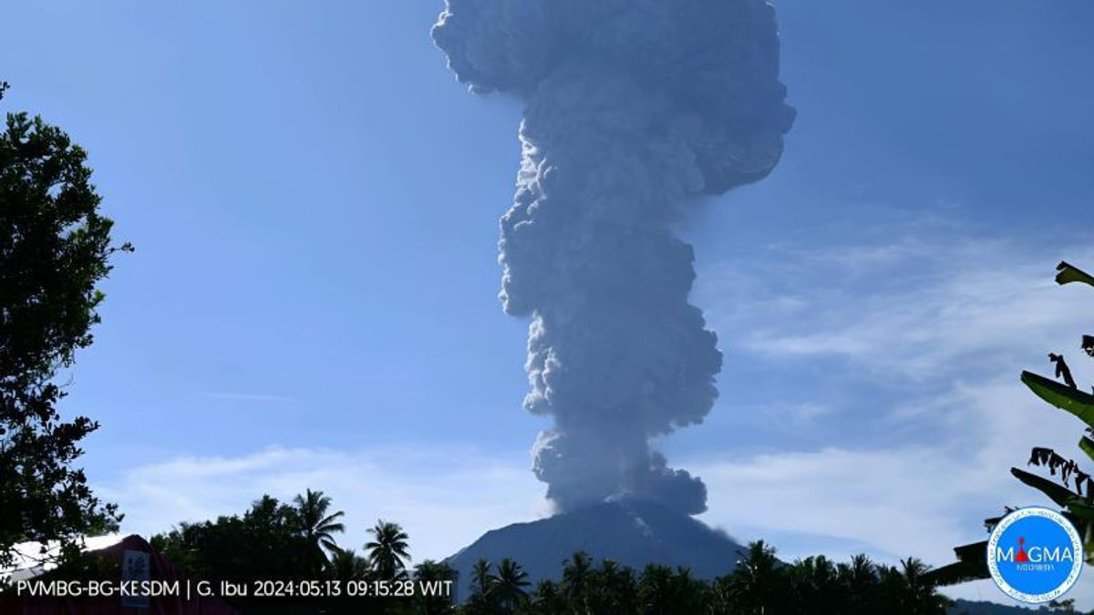 Erupsi Gunung Ibu Lontarkan Abu Vulkanik 5 KM, Warga Sekitar Diminta Gunakan Masker