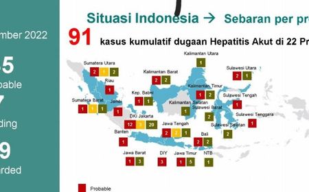 Kemenkes Deteksi 91 Kasus Hepatitis Akut Misterius