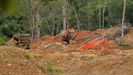 370万人が違法鉱山で働いており、経済的緊急性のためにそれを引き起こしている