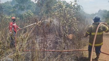 Un hectare de terres sèches à Belitung brûlé, prétendument à cause d'un bouclier de cigarettes