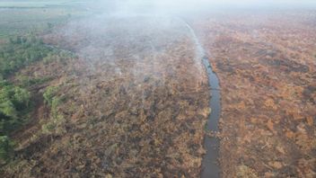 국회 제4위원회의 구르 팀, 정부가 숲 화재 진압에 대한 보험 보장을 제공하도록 요청