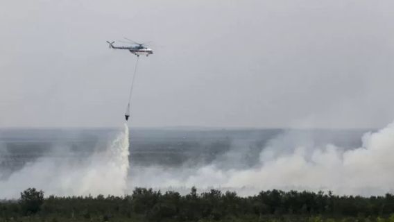 Pemrov Jambi Terbitkan Program Buka Lahan Capai 396 Hektare di Tengah Musim Kemarau 