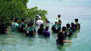 Pegadaian Tanam 1.000 Mangrove hingga Lepas Tukik di World Habitat Day 2025