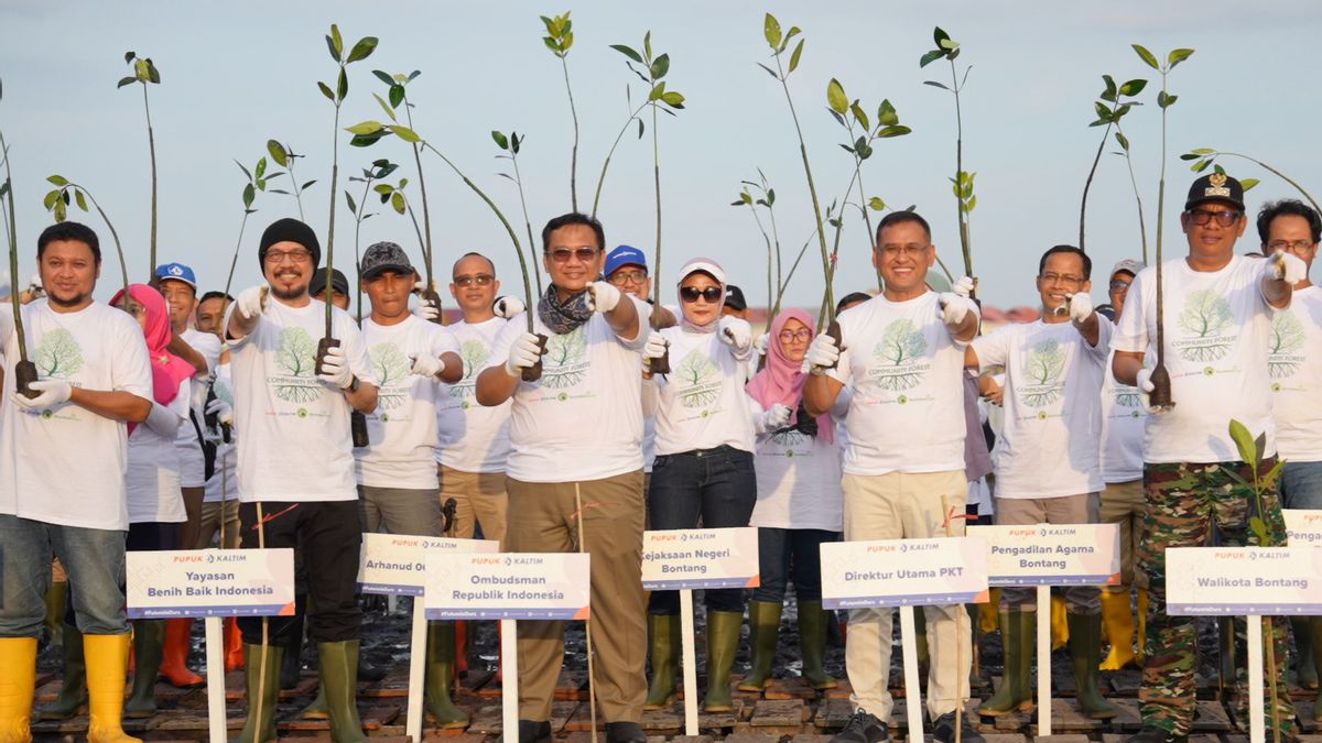 Increase ESG Encourage Decarbonization, Pupuk Kaltim Collaborates With TNK And Seeds To Plant 500 Thousand Mangrove Seeds