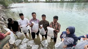 BPBL Batam Lepas 5.000 Ikan Nemo dan Kakap Putih di Pantai Amera