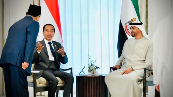 Momen Prabowo Dampingi Jokowi Bertemu Presiden MBZ di UEA