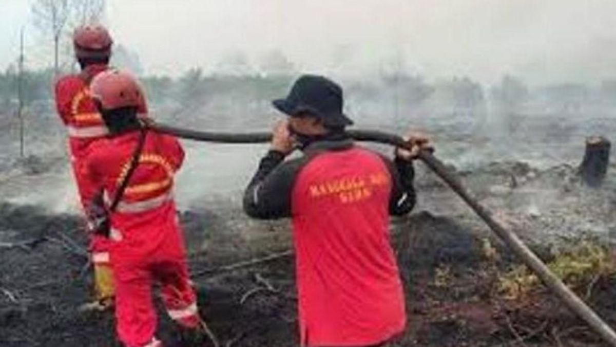 Petugas Gabungan Padamkan Karhutla di Dumai 