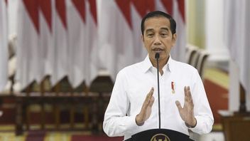 Jokowi's Order To Bulog: Maximize Grain And Rice Absorption From Farmers' Harvest
