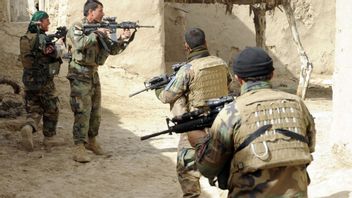 Worried that Afghan Commandos Are Recruited by Russia, Retired CIA: Skilled and Fierce, I Don't Want to Meet Them on the Battlefield