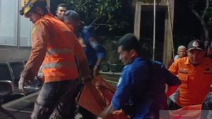 Longsor Tambang Timah di Bangka, 6 Pekerja Ditemukan Meninggal