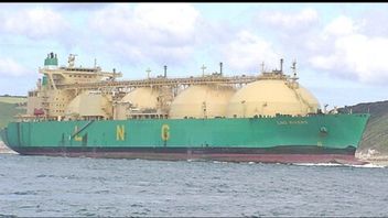 Perang Iran Ganggu LNG, Jepang dan Korea Selatan Balik ke Batu Bara