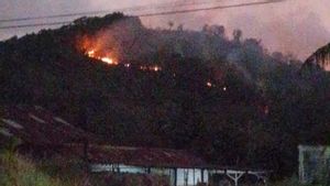 8.644 Titik Panas Terpantau di Kalbar, WALHI: Mayoritas di Konsesi Perusahaan Sawit dan HTI