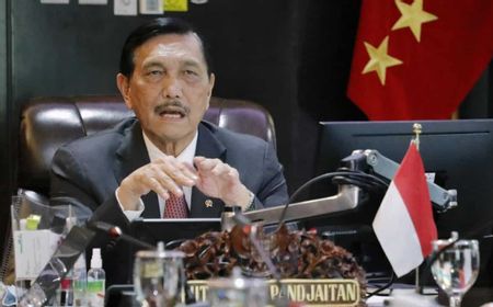 Soal UU Cipta Kerja, Luhut: Cucu Saya Juga Mengkritik