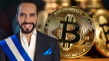 El Salvador Tambah Koleksi Bitcoin di Saat Harga BTC Anjlok