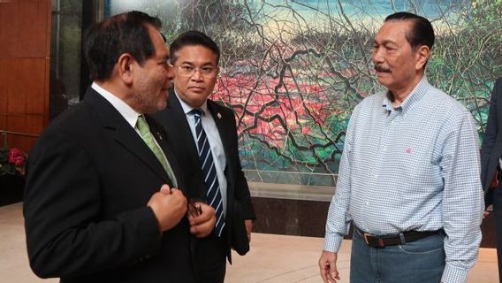 Luhut Reminds Chinese Investors To Protect The Indonesian Environment