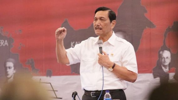 Luhut: Setelah Pelabuhan, Pabrik Mobil Listrik juga akan Dibangun di Patimban