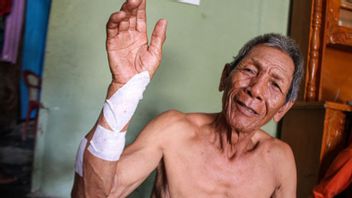 震惊的苏克里·萨勒·楠榜(Sukri Asal Lampung)在清理土地时,他的手被鳄鱼抓住。
