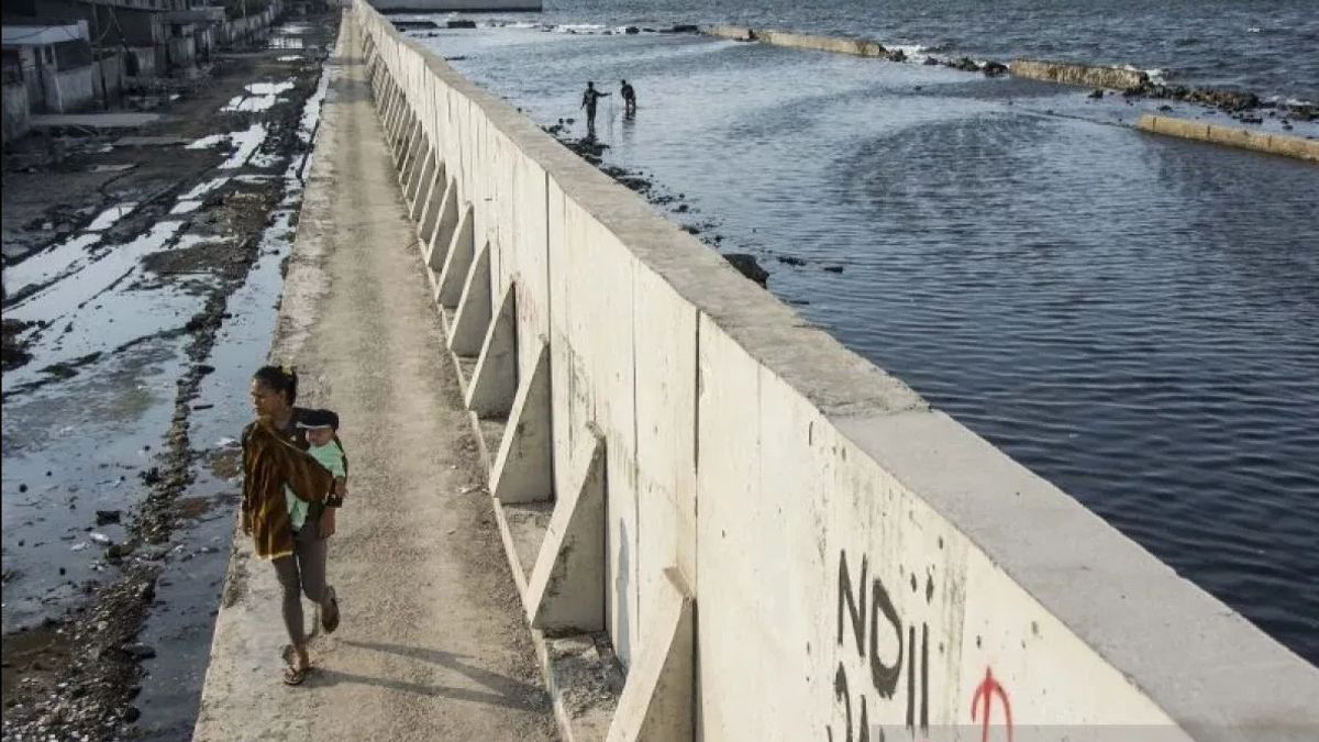 ستقوم الحكومة ببناء جسر بحري لتوقع فيضانات روب في جاوة