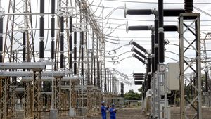 Didominasi Wilayah Timur, PLN Mau Kebut Pemasangan Listrik di Pelosok