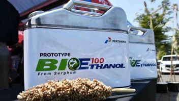 HIP BBN Bioéthanol November 2024 fixé Rp14 039 par litre