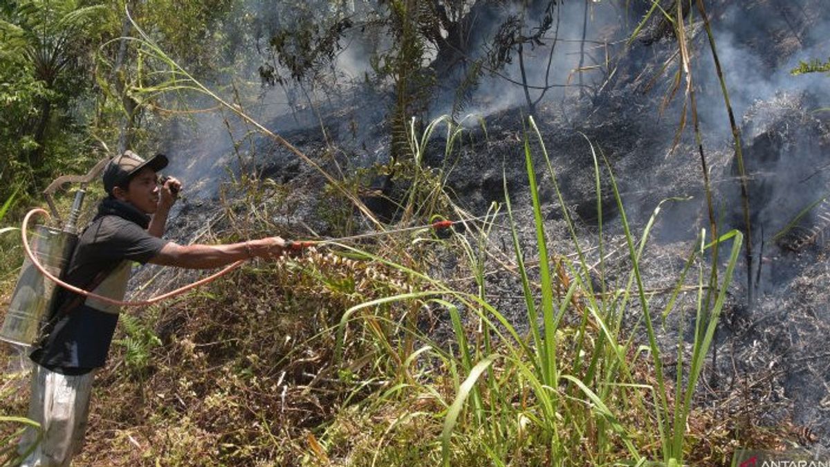 Perhatian, BBMKG Beri Peringatan Waspada Kebakaran Hutan di Bali