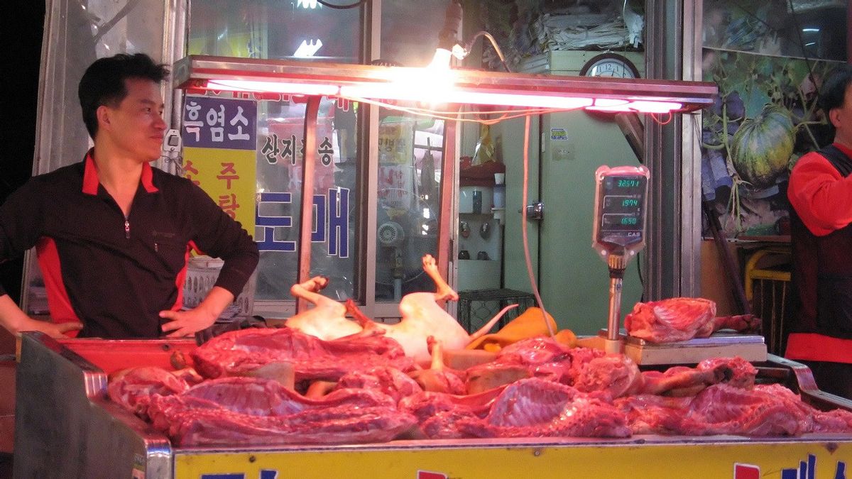 韩国总统明仁考虑禁止狗肉
