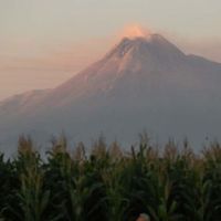 TNGM Tingkatkan Patroli Antisipasi Kebakaran Hutan Gunung Merapi