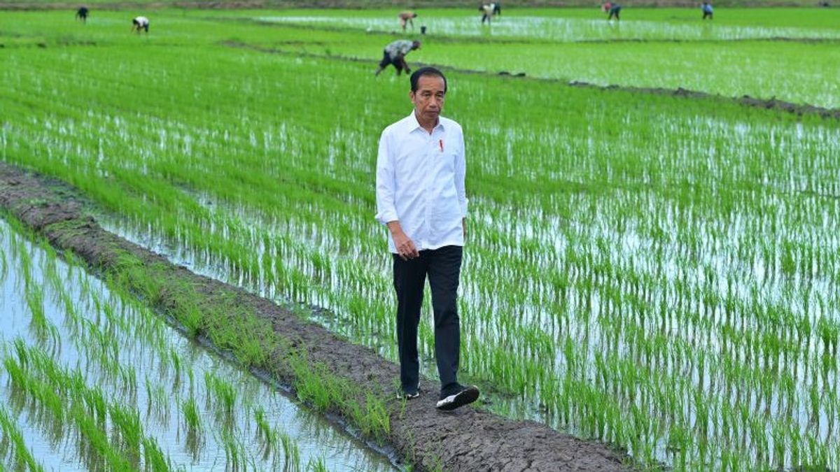 President Jokowi Checks Simulation Of Fertilizer Spread With Drones In Merauke