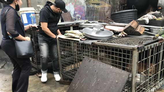 スディンKPKP DKIによって襲撃されたペンジャリンガンジャクートの犬の食肉処理場