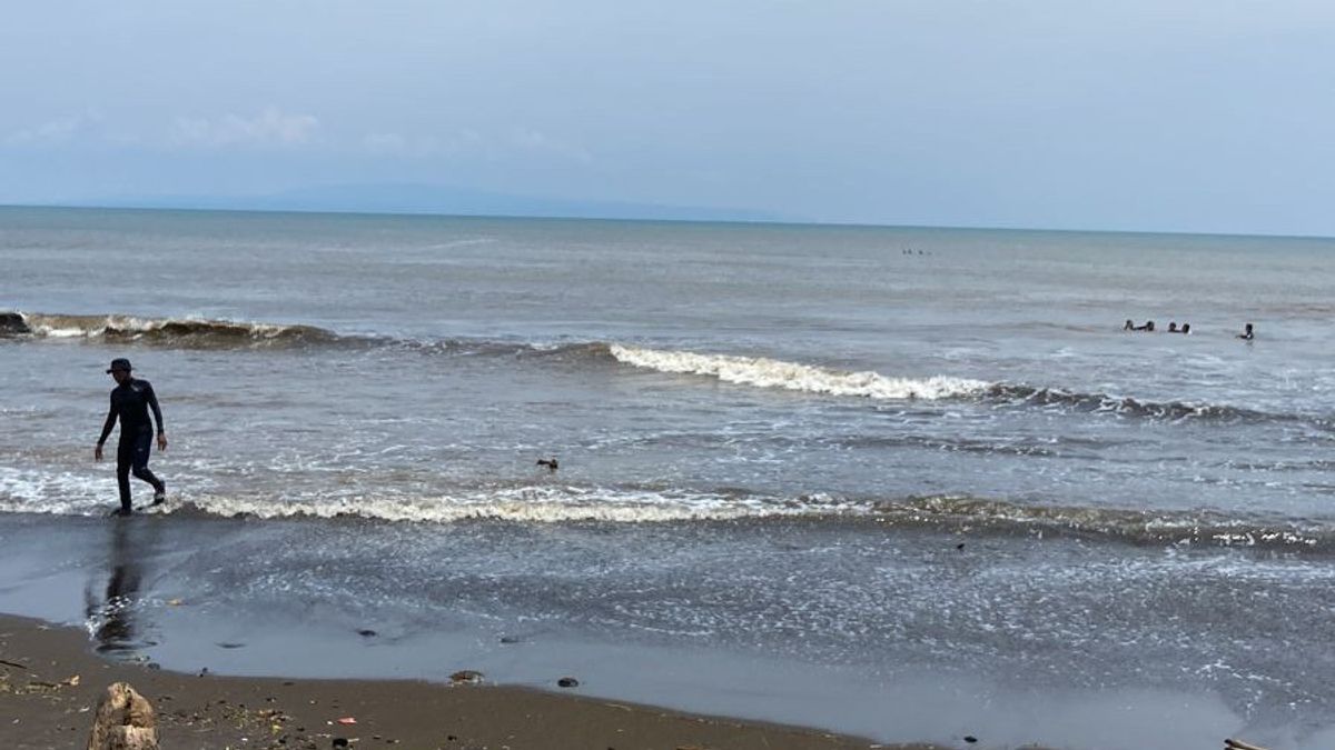 パダン・ガラク・ビーチ、バリ島で立ち往生したイルカの群れ