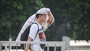 Facing Long Drought 2026, DKI Provincial Government Rely on Hydroponics to Harvest AC Water 