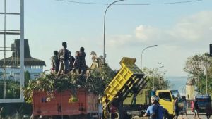 10 Hari Pasca Bencana Siklon Tropis Seroja, Pemkot dan Warga Masih Bersih-bersih Kota Kupang 