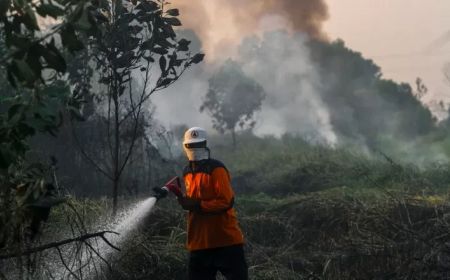 Marak Karhutla, BPBD Bangka Buka Layanan Aduan 24 Jam