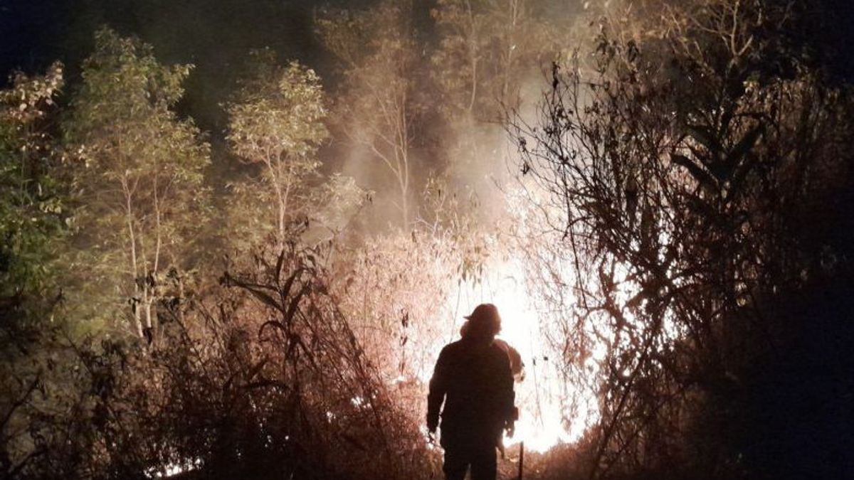 Dalam Sehari Terjadi Kebakaran Lahan di 3 Lokasi di Sukabumi