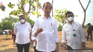 Ratusan Juta Warga Dunia Kelaparan, Jokowi Minta Lahan Tak Produktif Ditanami Kelapa Genjah