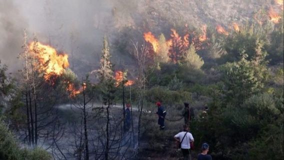 オーストラリアのビクトリア州の森林火災と土地火災の予測は、毎日消える可能性があります