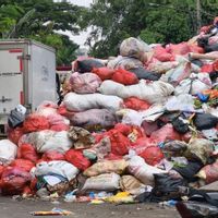 Pemkot Tangsel Perpanjang Status Darurat Sampah hingga 19 Januari 2026