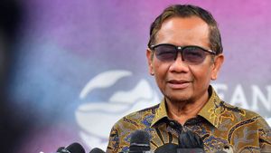 Hari Ini Mahfud MD Lapor ke Jokowi Hasil Kajian Putusan MK Soal Perpanjangan Masa Jabatan di KPK 