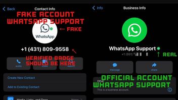 الاحتيال تحت ستار حساب WhatsApp الرسمي ، احذر من الجناة سرقة المعلومات الشخصية
