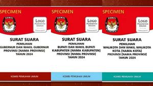 3 Types Of Elections For The 2024 Regional Head Elections, Understand So You Don't Get Wrong When You Vote