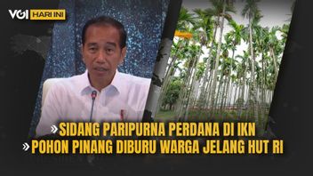 VOI Today: Jokowi Leads The First Plenary Session At IKN, Pinang Tree Hunted By Residents Ahead Of The Republic Of Indonesia's Independence Day