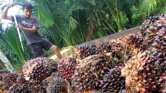 Commodity Boom Over, Sri Mulyani Predicts PNBP Next Year To Drop 6.7 Percent